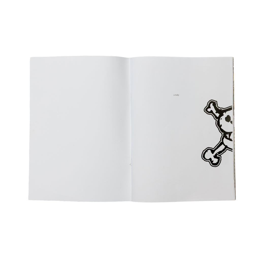 01 FANZINE